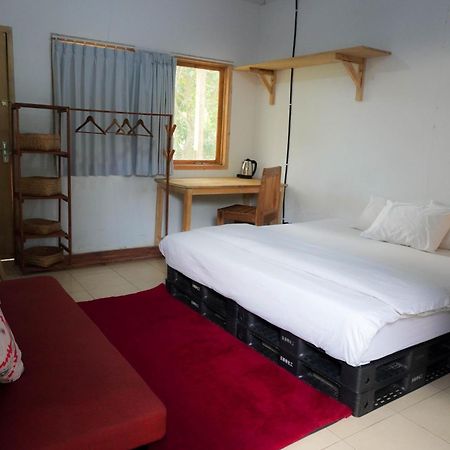 Lotide Surf Camps Lombok Hostel Kuta  Kültér fotó